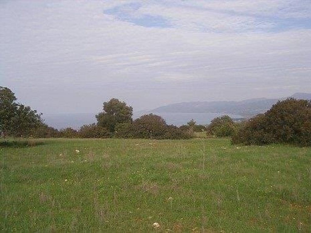 Land Land - AGRICULTURAL LAND IN NEO CHORIO