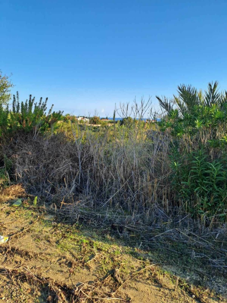 Land Land - Agricultural land for sale Anadasmos Latchi in Neo Chorio