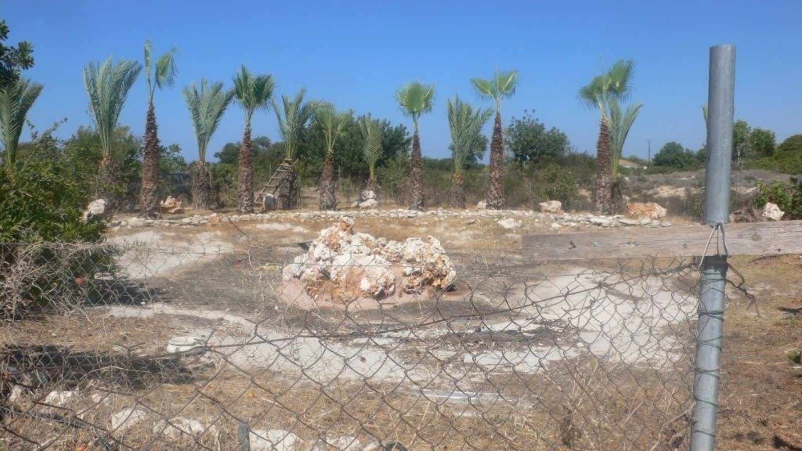Land Land - reduced price agricultural land  Neo Chorio