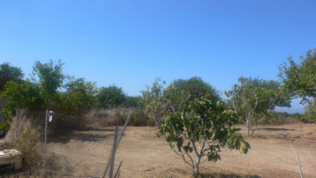 reduced price agricultural land  Neo Chorio