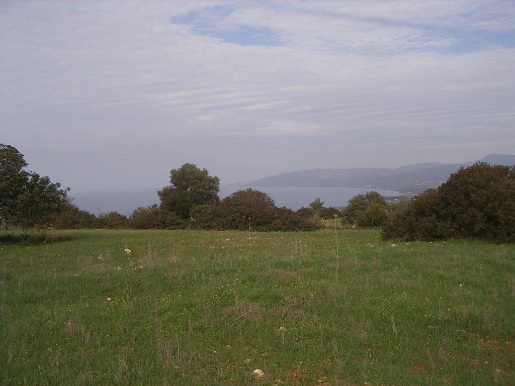 AGRICULTURAL LAND IN NEO CHORIO